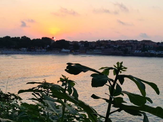 Guest House Dimovi Sozopol Bagian luar foto